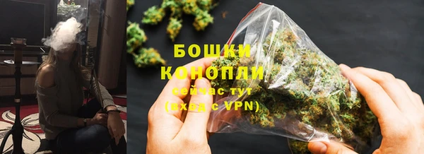 сатива Абаза
