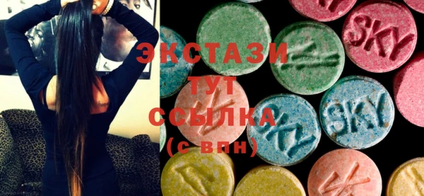 индика Елизово