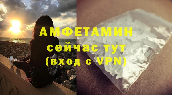 сатива Абаза