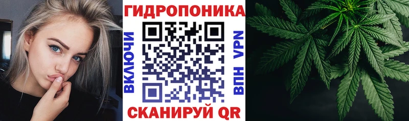 Бошки марихуана планчик  цена   shop Telegram  Фрязино 